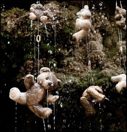 Hang dong bien moi thu thanh da hinh anh