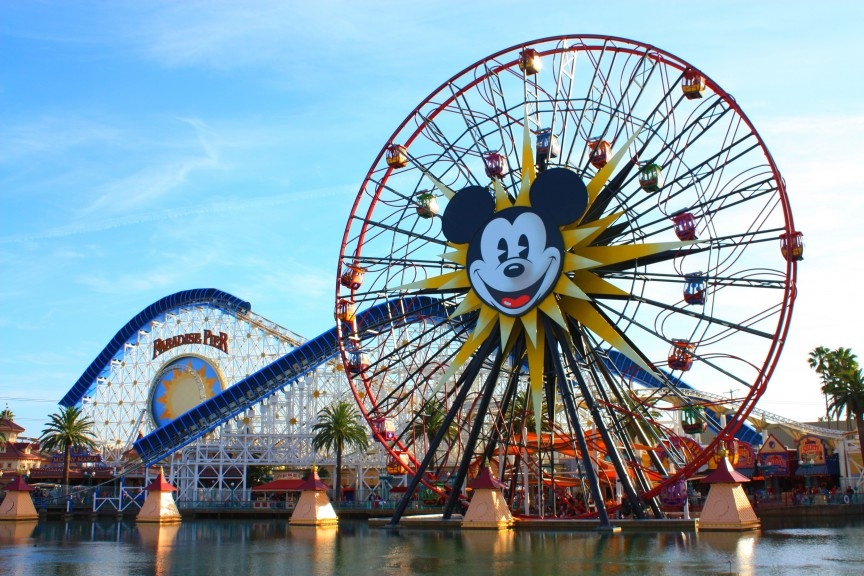 Disney: Từ tháng 7/2015, Disney đã ra thông báo cấm sử dụng gậy selfie ở tất cả các công viên giải trí của hãng. Quy định này được đưa ra sau khi một hành khách rút gậy tự sướng ra lúc đang ngồi trên tàu lượn siêu tốc. Nhân viên vận hành đã phải cho dừng tàu, do cây gậy có thể dễ dàng vướng vào hệ thống của tàu. Gậy selfie không chỉ gây khó chịu ở công viên và còn đe dọa tới sự an toàn của du khách.