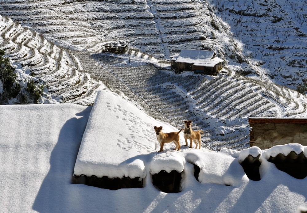 Sapa trong mat nha bao Cong hoa Czech hinh anh