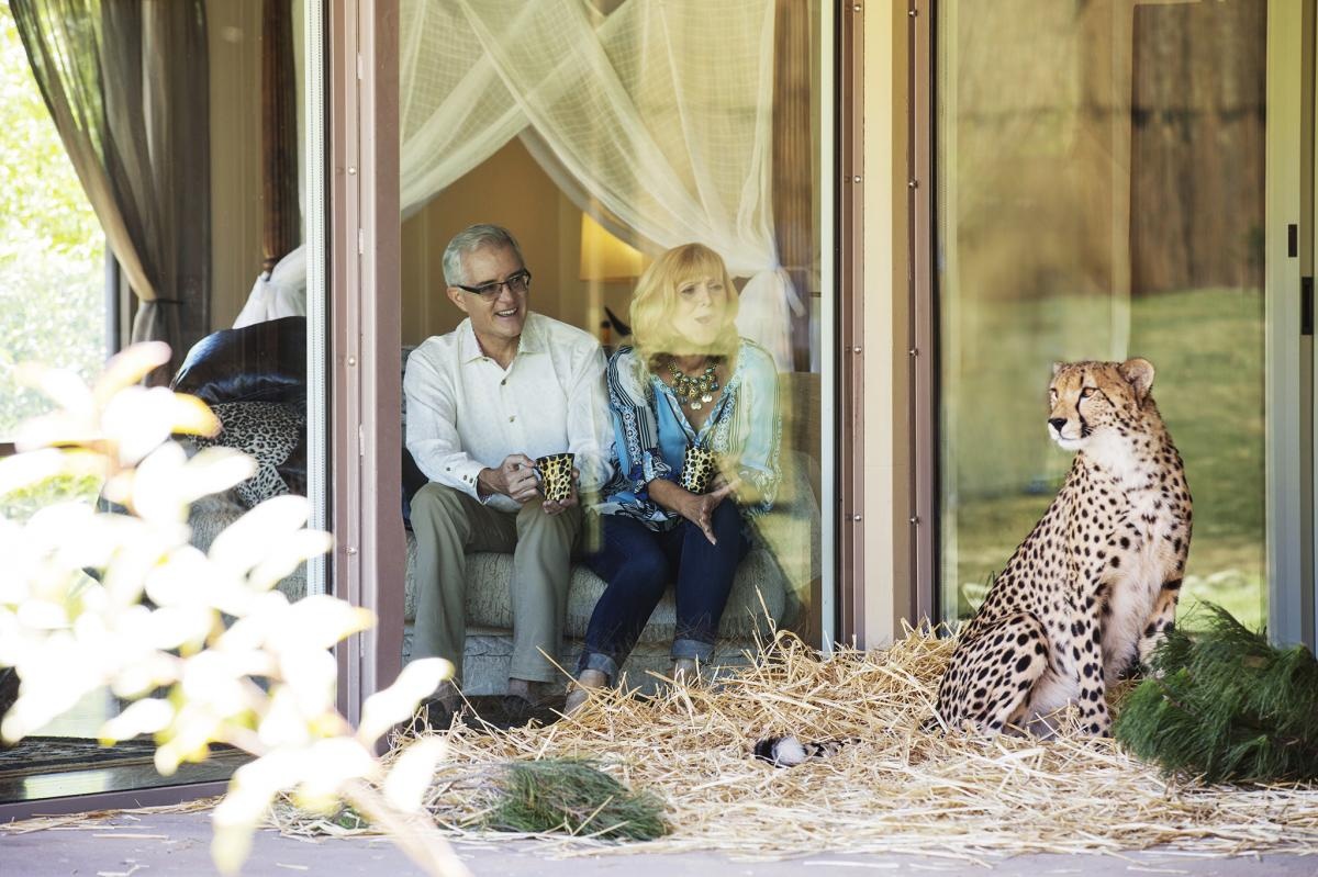 Khách sạn Jamala Wildlife, Australia: Nằm ở trung tâm Australia, khách sạn Jamala Wildlife cho du khách cơ hội thức dậy cạnh sư tử và tắm cùng một chú gấu khổng lồ.