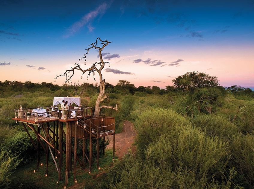 Nhà trên cây Tinyeleti, Nam Phi: Khách sạn 5 sao này cho du khách tiếp cận với công viên quốc gia Kruger, nơi họ có thể quan sát sư tử, báo đốm và voi trong môi trường sống tự nhiên của chúng.
