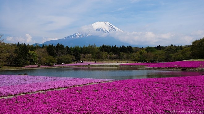 Ve dep cua 10 vuon quoc gia hang dau the gioi hinh anh