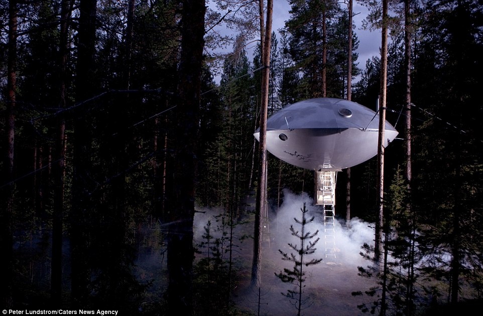 Khach san tren cay la lung o Thuy Dien hinh anh