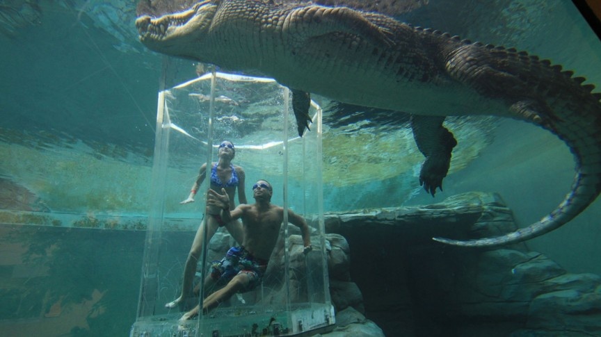 Crocosaurus Cove, Australia: Tới đây, du khách sẽ có cơ hội bơi cùng những con cá sấu nước mặn khổng lồ, nổi tiếng về độ hung dữ. Bạn sẽ được đưa vào trong lồng kính, hạ xuống bể và quan sát chúng ăn mồi.
