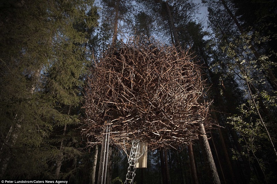 Trong số các phòng khác ở khu vực Harads, cách Stockholm 876 km về phía bắc, một phòng có dạng tổ chim độc đáo.