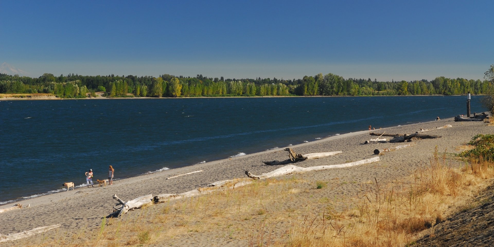 Bãi biển Collins, đảo Sauvie, Oregon: Bãi tắm nằm ở sông Columbia này cách Portland không xa. Đường ra đây khá gập gềnh, với khoảng 400 m cuối là đường đá sỏi. Tuy nhiên, bãi tắm không yêu cầu quần áo này khá thú vị, yên tĩnh và thư thái.
