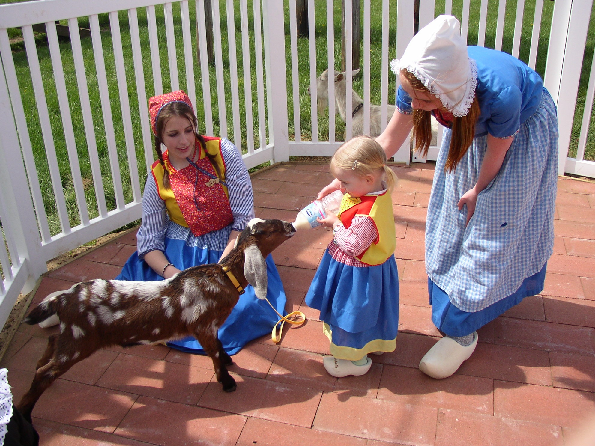 Làng Hà Lan, Michigan, Mỹ: Theo website chính thức, công viên này “đưa du khách trở lại Hà Lan của 100 năm trước”. Các nhân viên mặc trang phục truyền thống của người dân Hà Lan. Trẻ em có thể dắt dê đi dạo, trượt xuống một máng trượt mô phỏng giày gỗ khổng lồ, hay chơi đu quay có dạng cối xay gió. Người lớn có thể thử cảm giác bị buộc tội là phù thủy trên “cân phù thủy” đã 200 năm tuổi.