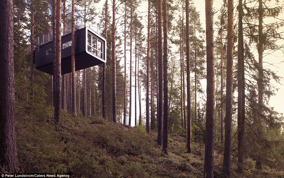 Du khách còn có thể thuê “Cabin”, một phòng nghỉ lạ lùng khác trong khu rừng này. Trang web của Treehotel phòng nghỉ này “như một con nhộng, một thực thể xa lạ giữa những thân cây”, có giường đôi, phòng tắm và hiên nhà.