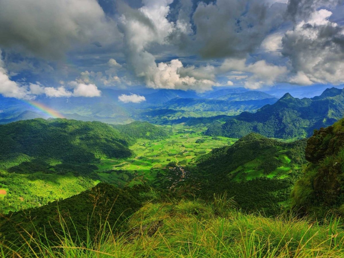 Bao quanh núi Phu Chi Fa ở Chiang Rai là một khu rừng xanh tươi, rậm rạp.
