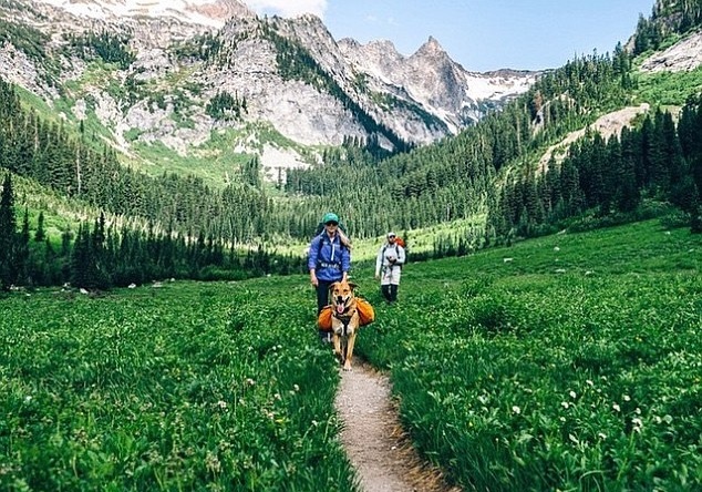 Nhung buc anh khien ban muon xach cun cung len va di hinh anh