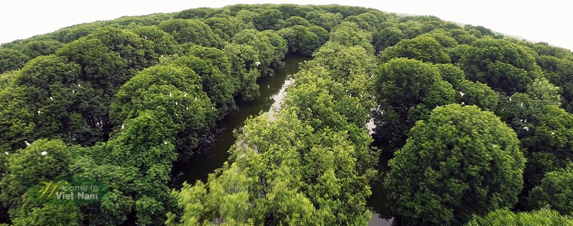 Rừng tràm ở miền Tây Nam Bộ có hệ sinh thái đặc trưng, trù phú.