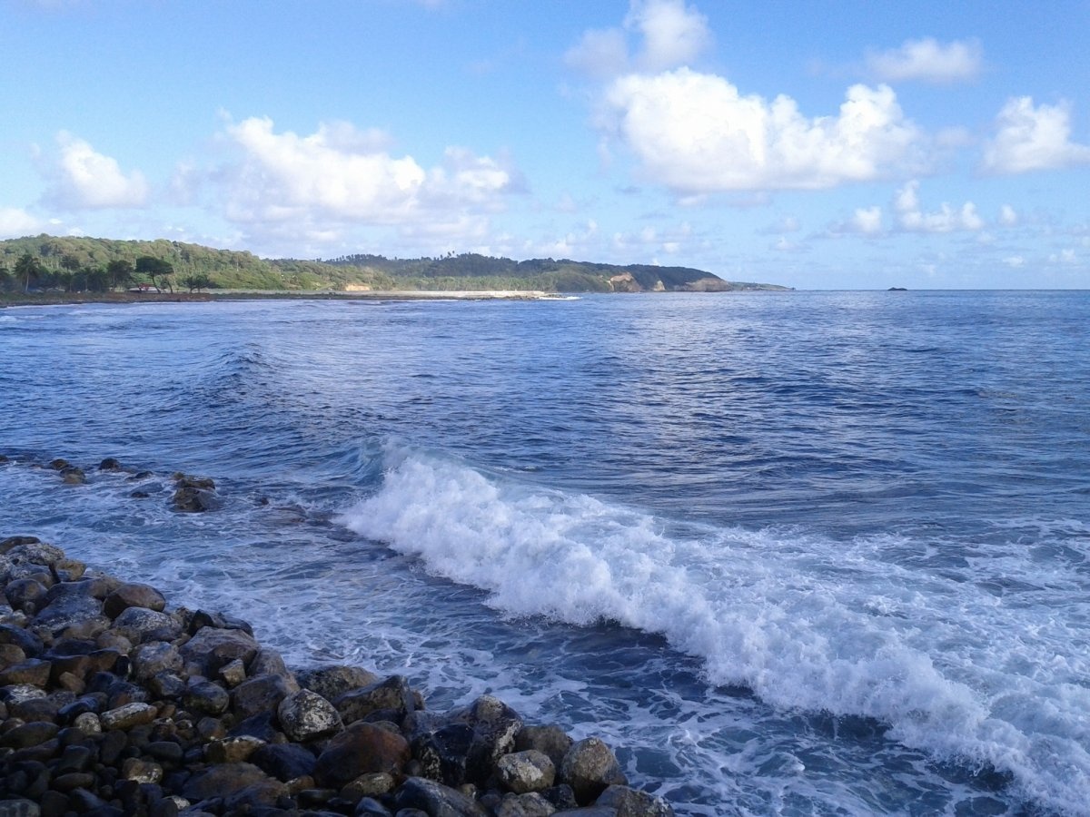 Dominica: “Hòn đảo thuộc vùng Caribbe này ít được du khách biết đến, với vẻ đẹp của núi lửa, hồ sôi, những bãi biển bí mật và các khu rừng mưa trù phú”.