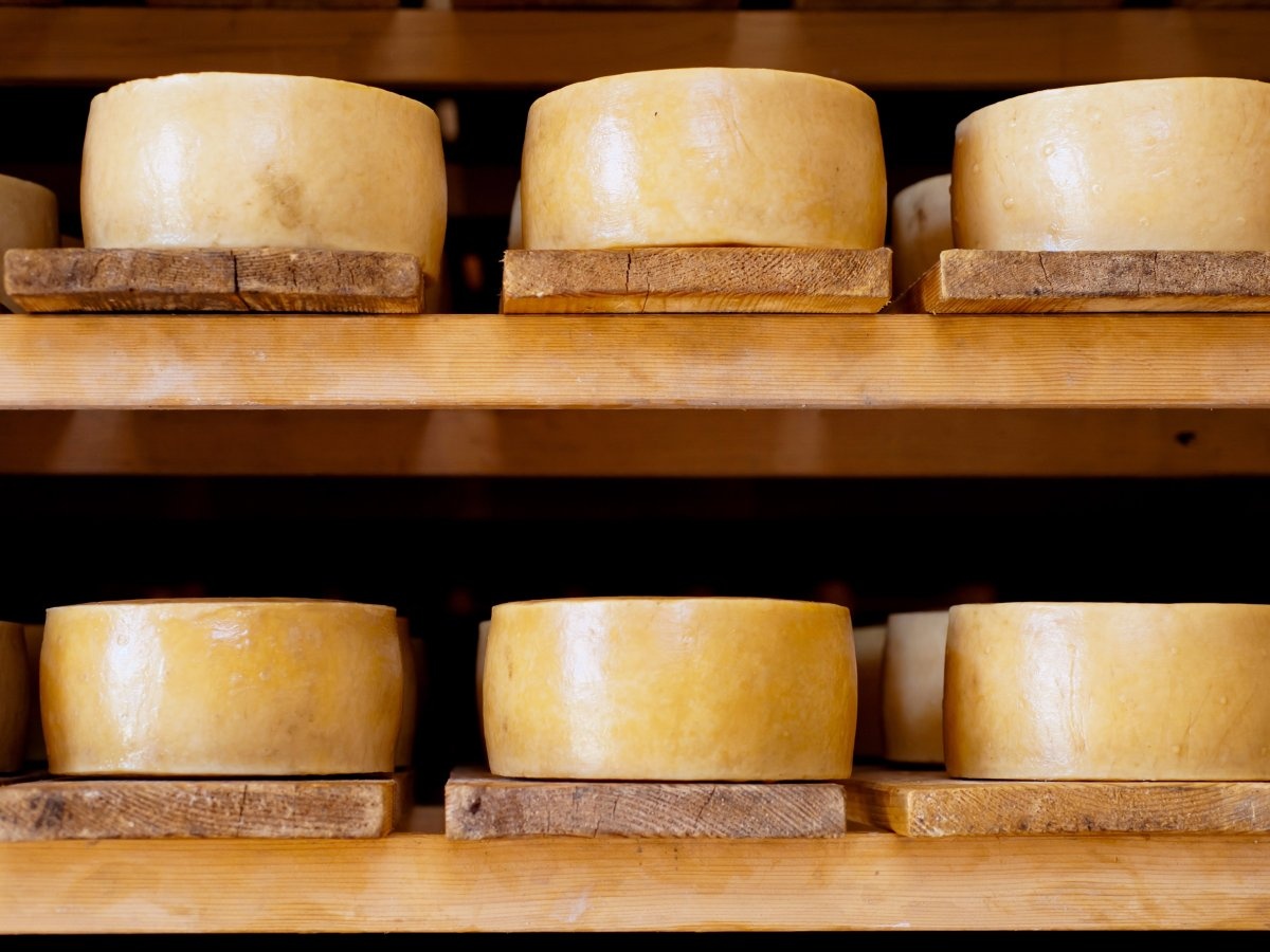 Phô mai Paški sir (Croatia): Đây là một loại phô mai cứng làm từ sữa cừu trên đảo Pag. Paški sir nổi tiếng tới mức được xuất khẩu đi khắp nơi trên thế giới.