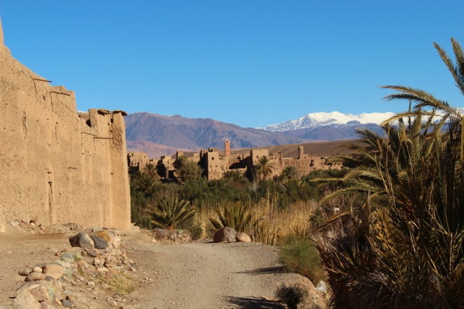 Một góc Palm Grove. Ảnh: Sun-trails.