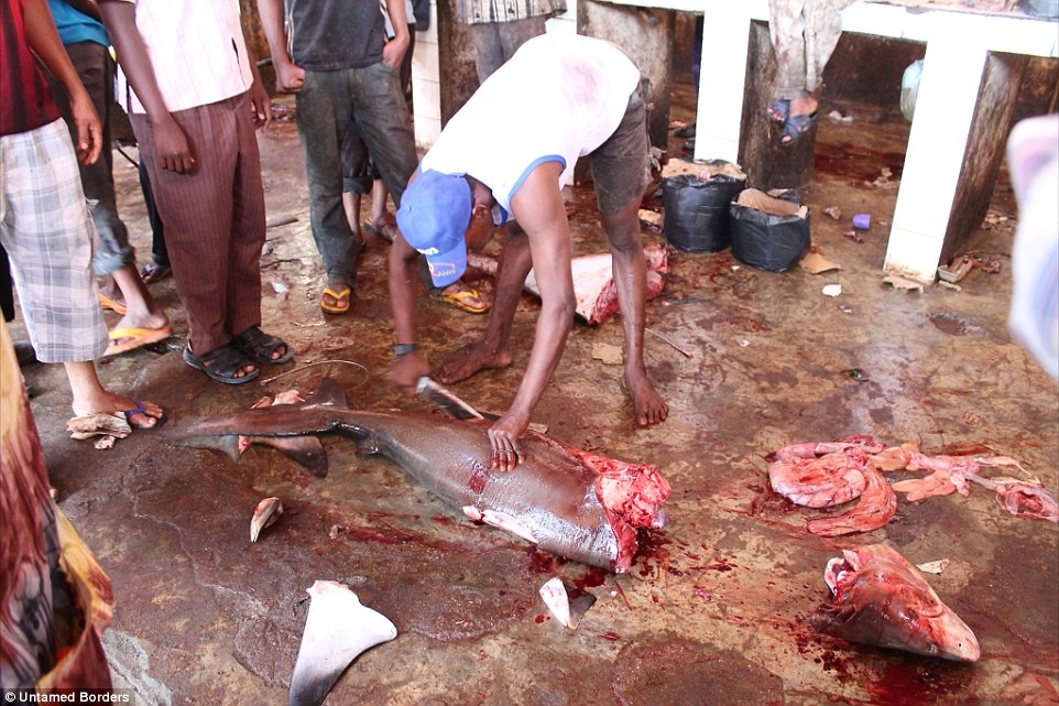 Du khách được tới thăm nhiều điểm, trong đó có các khu chợ náo nhiệt, nơi họ có thể quan sát ngư dân mổ cá.