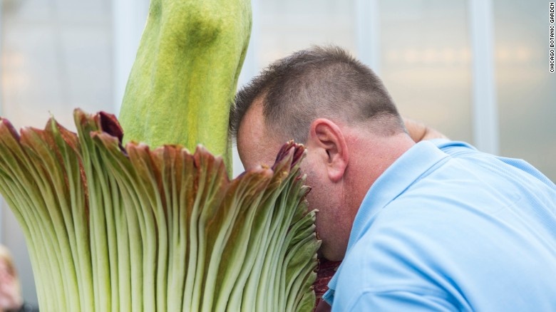 Nguoi dan My hao huc di ngui hoa xac thoi hinh anh