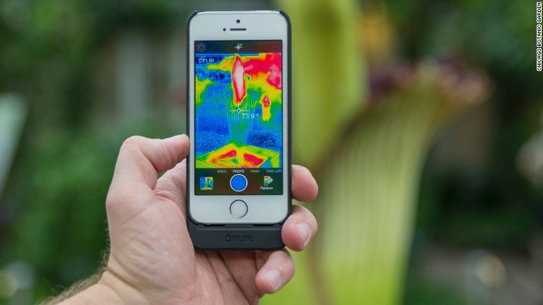 Vườn mở cửa tới tận 2h sáng để du khách có thể chiêm ngưỡng và “tận hưởng” mùi của hoa xác thôi.