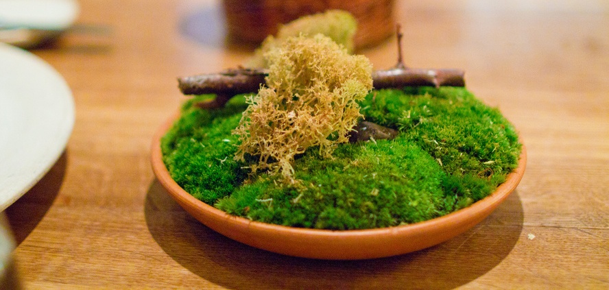 Đầu bếp René Redzepi nổi tiếng với việc sử dụng những nguyên liệu thu được từ các cánh rừng và vùng nước địa phương. Mỗi món đều khiến du khách bất ngờ. 