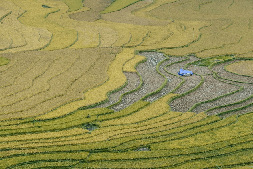 Tung nac thang len troi hinh anh