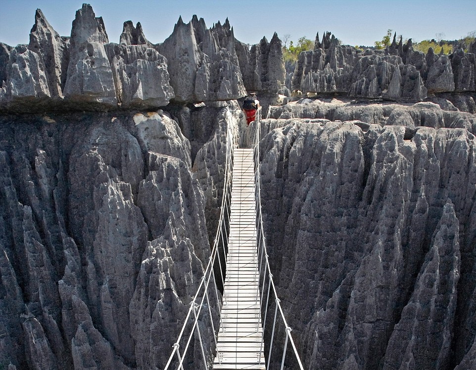 Cau treo tren rung da nhon hoat hinh anh