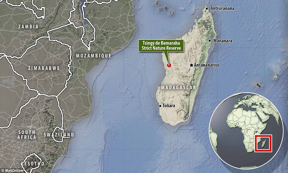 Khu bảo tồn thiên nhiên Tsingy de Bemaraha nằm ở bờ tây Madagascar, thuộc vùng Melaky. 