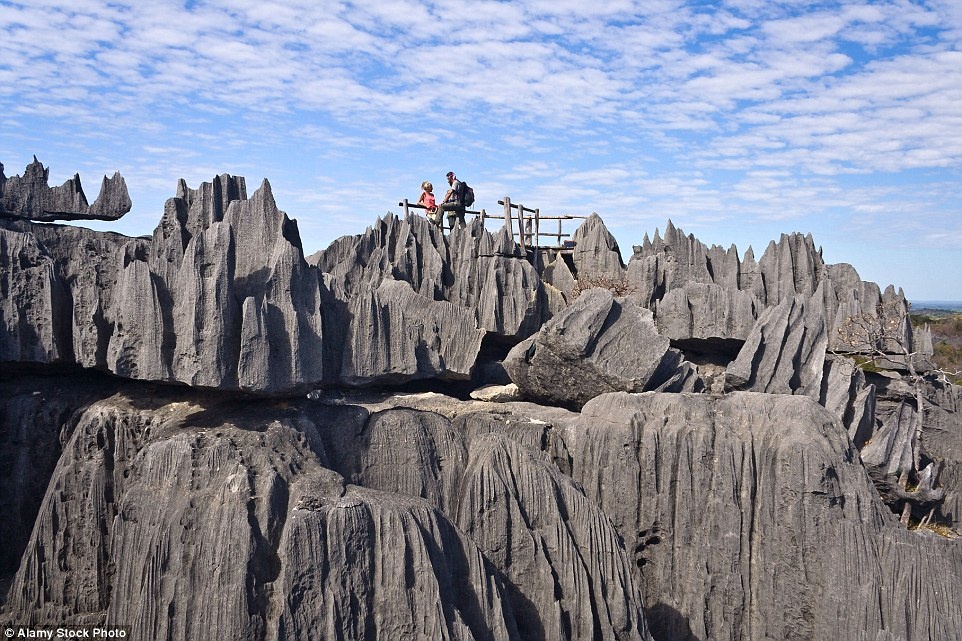 Cái tên Tsingy có nghĩa là “nơi không thể đi chân trần”, dựa theo địa hình hiểm trở của vùng đất này. Du khách có thể đi qua đây trên những cây cầu khá “đau tim”.