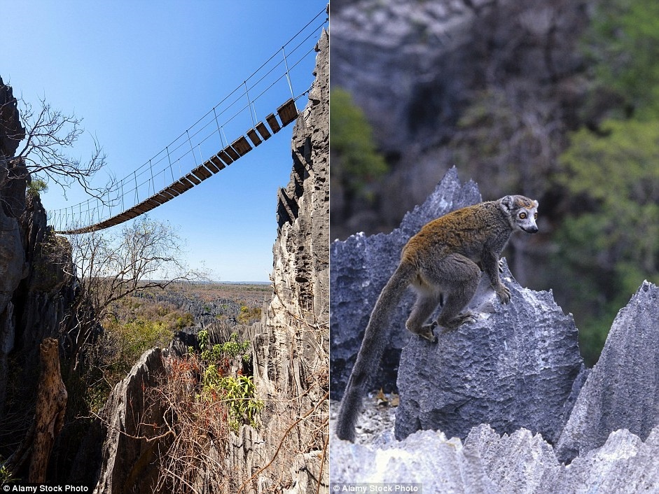 Ngoài một số các cây cầu và đài quan sát, công viên gần như còn nguyên vẹn và được bảo vệ nghiêm ngặt. Đây là nhà của 11 loại vượn cáo và hơn 100 loài chim.