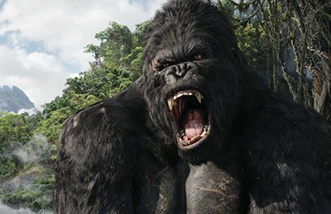 Rất có thể một số cảnh đẹp Việt Nam sẽ xuất hiện trong phim King Kong 2.