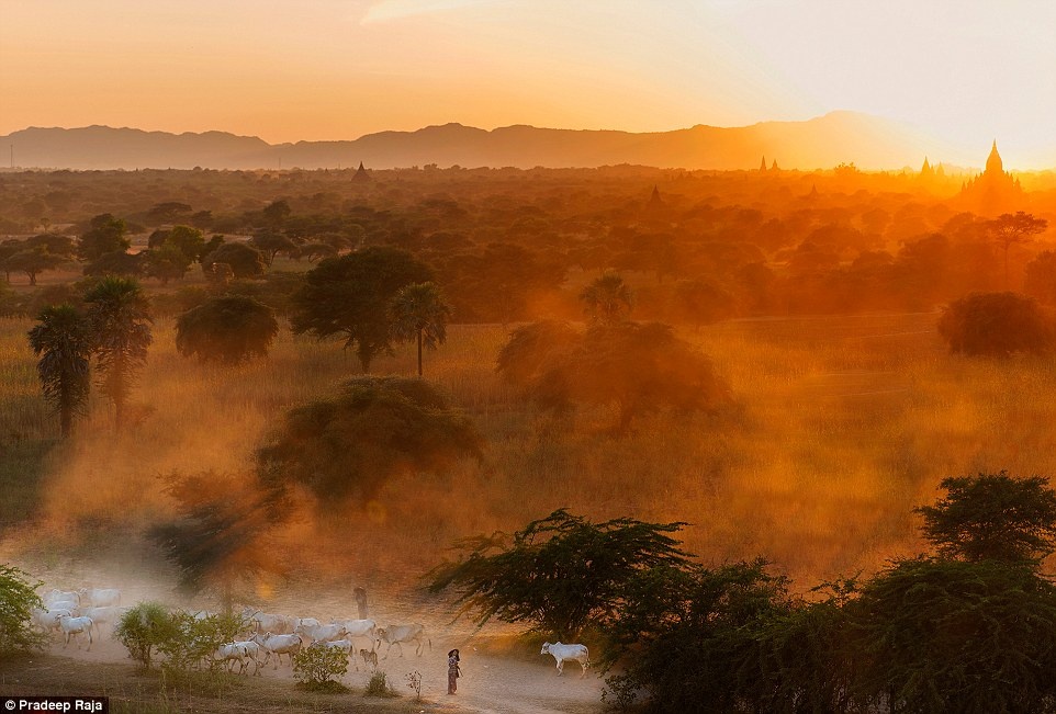 Bình minh lộng lẫy ở Bagan, Myanmar trong góc chụp của Pradeep Raja.