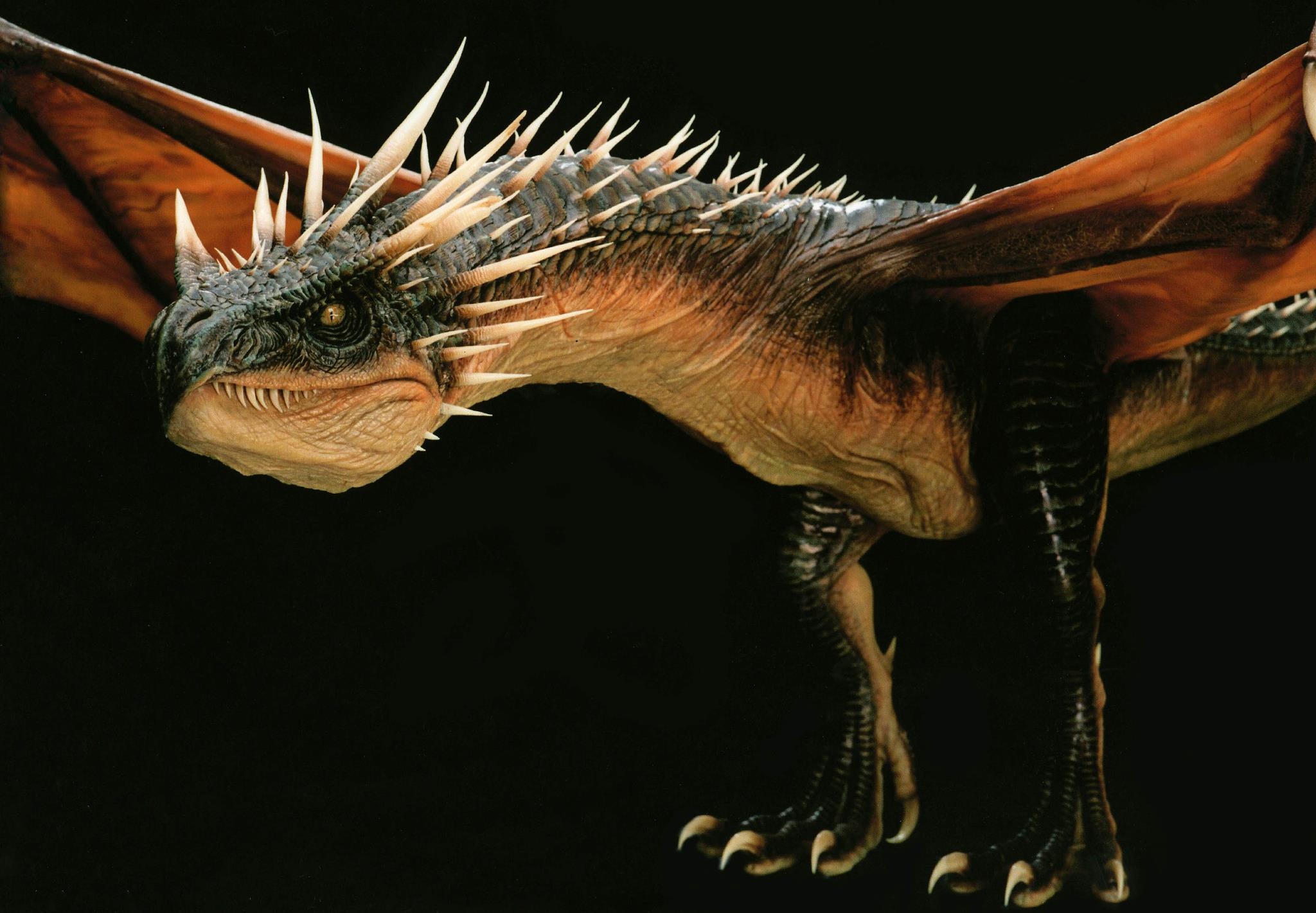 9. Phô mai sữa rồng: Hãy quên phô mai sữa dê hay sữa bò đi, còn gì thú vị hơn việc được thưởng thức một miếng phô mai làm từ sữa của sinh vật huyền thoại này chứ?