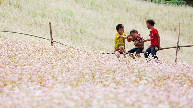 Tam giac mach Ha Giang gio da dep chua? hinh anh