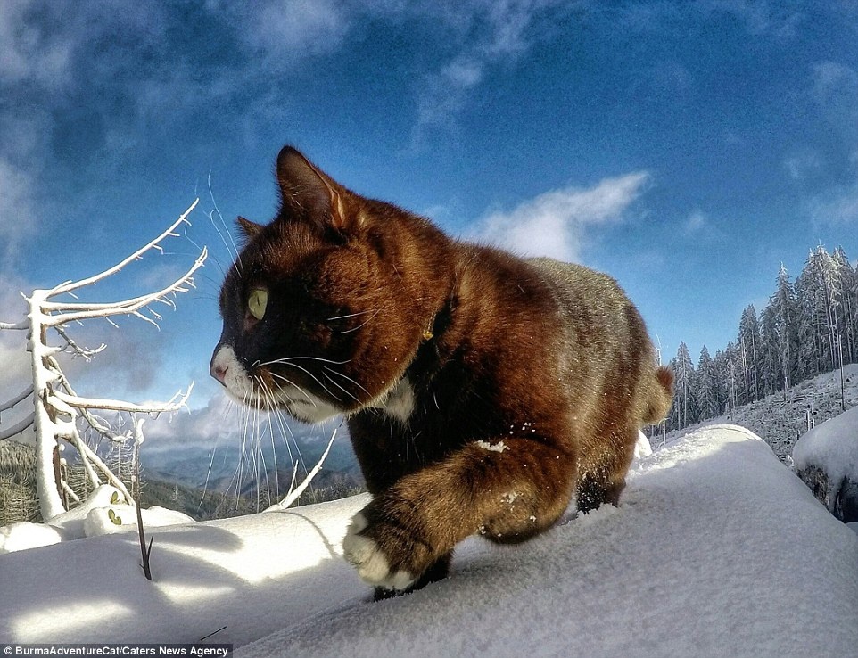 Stephen kể: “Đây là cách sống của tôi và tất cả những gì tôi có thể cho nó. Leo núi và chạy bộ đã trở thành một lối thoát và điều tôi cần, một thứ tốt cho tôi.