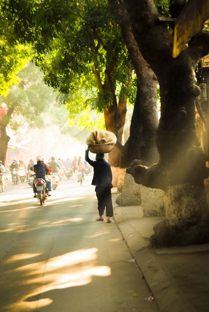 Tài khoản JLD Web chia sẻ một buổi sáng trong lành với nắng vàng rực rỡ ở Hà Nội.