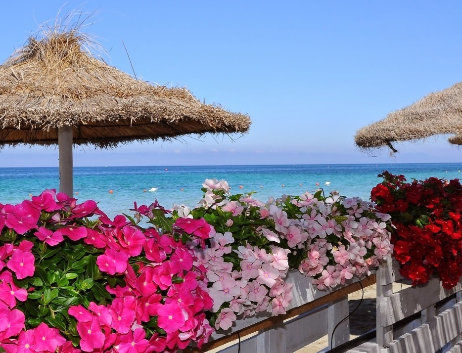 Ảnh: Du khách nghĩ mình sẽ được tận hưởng sự yên tĩnh ở bãi biển riêng tuyệt đẹp của khách sạn Delfino ở Sicily, Italy.