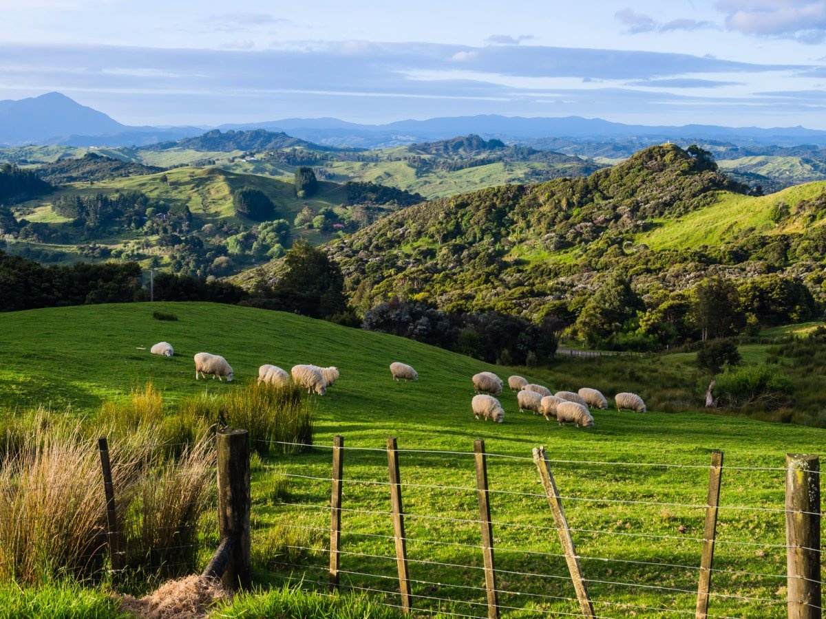 New Zealand: Đây là điểm đến dành cho những người yêu thích phiêu lưu. Bạn có thể tận hưởng cuộc sống không vướng bận ở một cabin không có điện trên đảo Great Barrier, đắm mình trong làn nước của suối Maruia, leo qua địa hình núi lửa của công viên quốc gia Tongariro hay câu cá ở Queenstown.