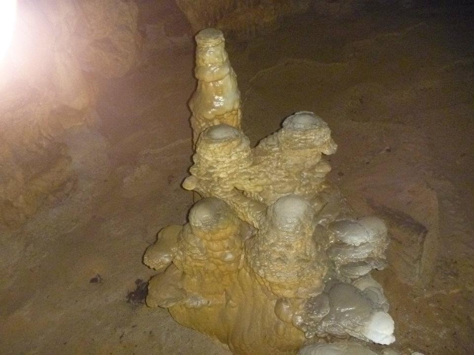 Mang danh phận là hoàng cung trong lòng đất, động Thiên Đường được phân tách thành các cung điện như cung Quảng Hàn, cung Quần Tiên, Thạch Thiên cung hay thác Thiên Hà với hình dáng lung linh tuyệt đẹp như được thiết kế bởi bàn tay của các nghệ nhân chuyên nghiệp. 