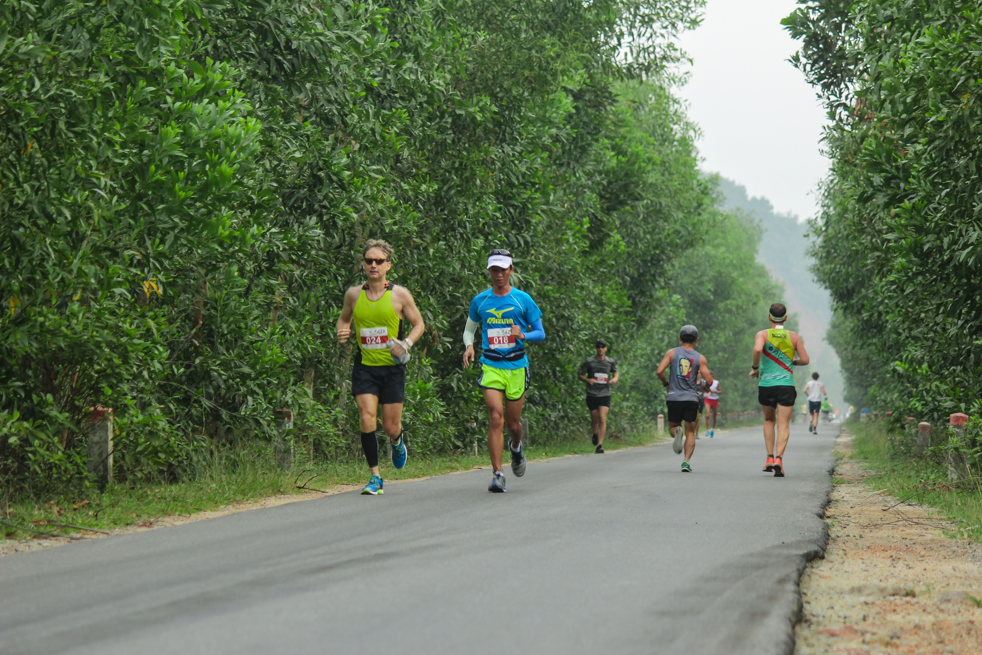 Ảnh 4: Các vận động viên chạy trên con đường trải nhựa với hai bên đường là rặng tràm chạy dài