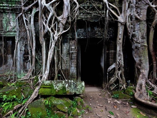 Ta Prohm là một nơi sinh hoạt tôn giáo của những người theo đạo Phật được xây dựng vào những năm 1100 với khung cảnh bí ẩn và rùng rợn nhưng vẫn đẹp như một bức tranh.