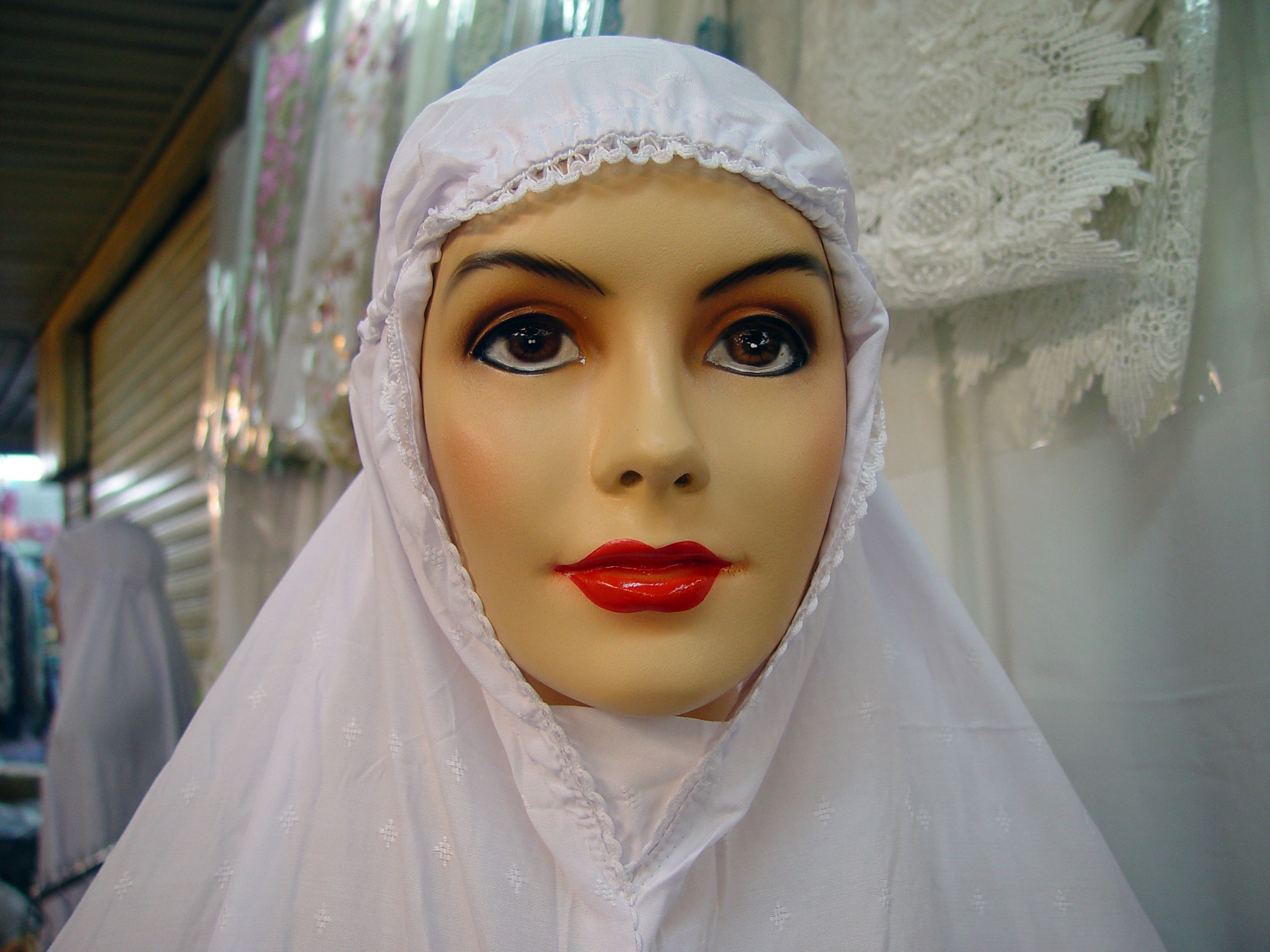 2. Mannequin (Iran): Từ năm 2009, trong một chiến dịch nhằm phá bỏ ảnh hưởng của phương Tây trong cách ăn mặc, Iran đã cấm các cửa hàng trưng bày bất cứ mannequin nào có đường cong và không mặc hijab (khăn trùm đầu truyền thống).