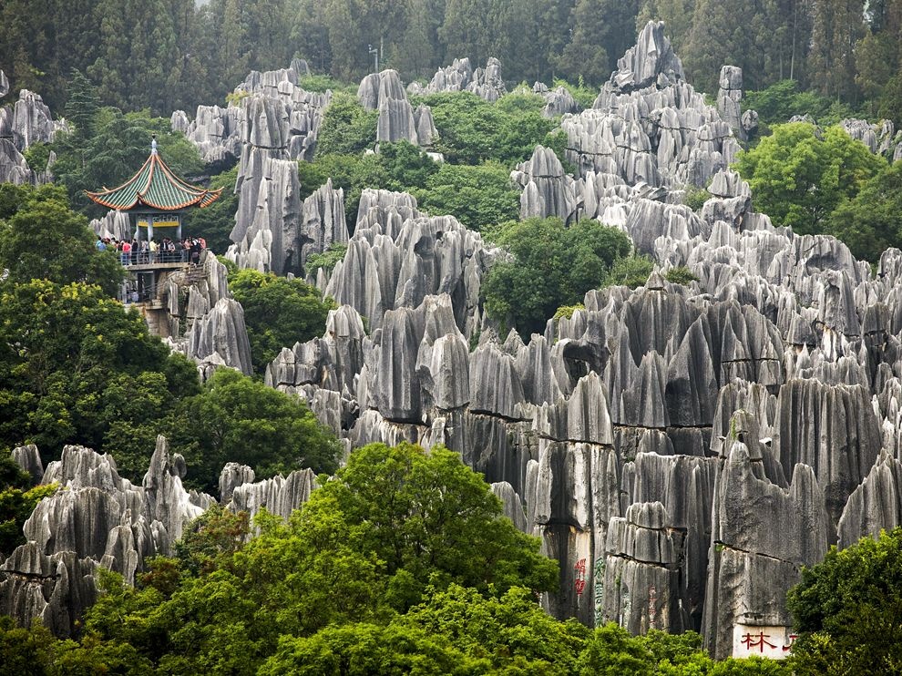 Côn Minh, Trung Quốc: Rừng đá Shilin nổi bật giữa màu xanh của cây cối tại tỉnh  Vân Nam, gần Côn Minh, Trung Quốc. Rừng đá này thực chất là một mê cung các cấu trúc đá vôi bị xói mòn theo thời gian.