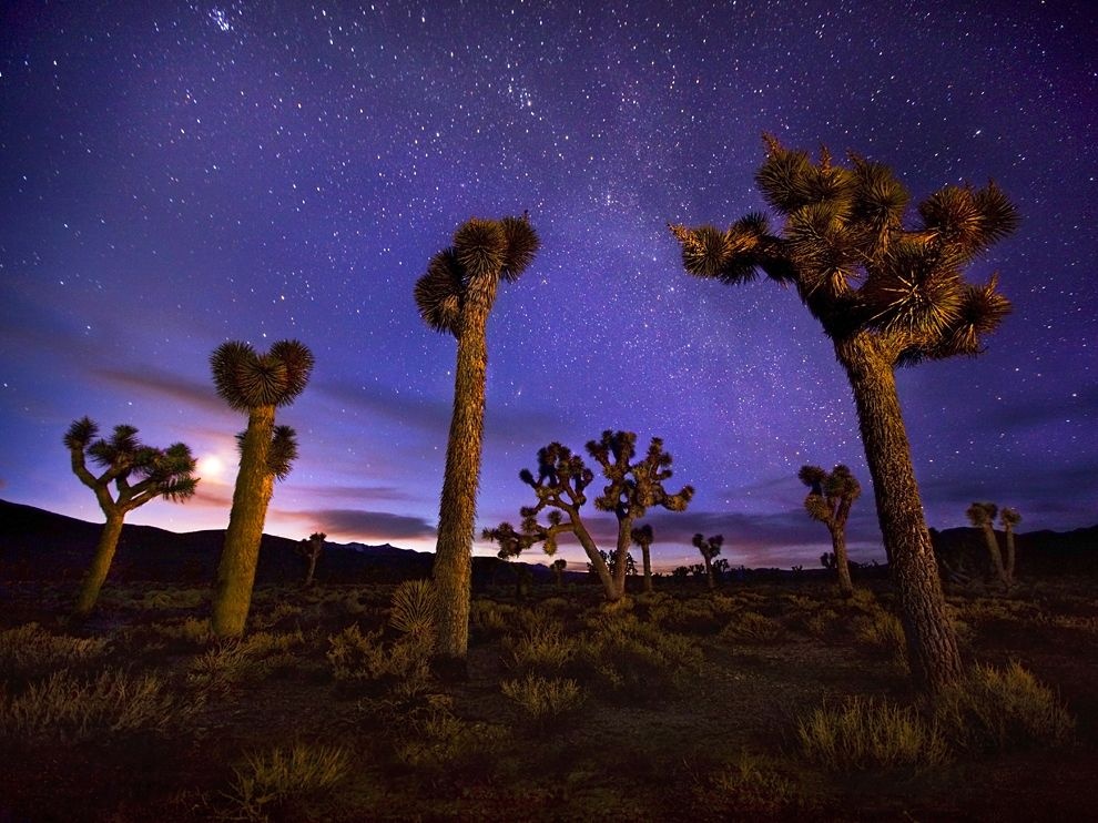 Thung lũng Tử Thần, California, Mỹ: Dải ngân hà lộng lẫy trên những cây Joshua khiến người xem quên đi điều kiện khắc nghiệt của sa mạc này. Tên của thung lũng được đặt sau khi một nhóm người tiên phong bị lạc tại đây và không ai sống sót. 