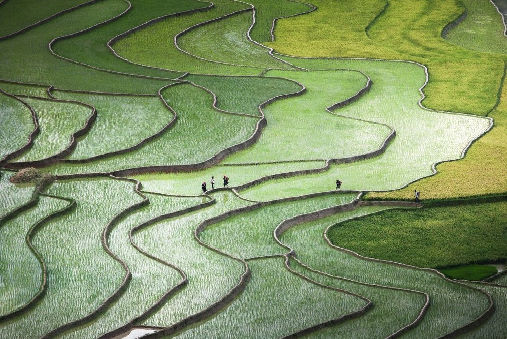 Anh cua co gai Viet vao chung ket National Geographic hinh anh