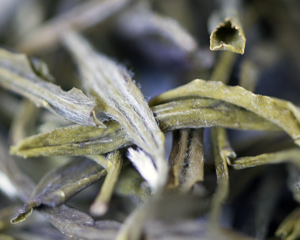 Hoàng Sơn còn có trà Mao Phong, một trong “thập đại danh trà” của Trung Quốc. Cây trà sinh trưởng trên núi cao, quanh năm sương khói nên có vị ngon độc đáo.  Ảnh: Tea-terra.