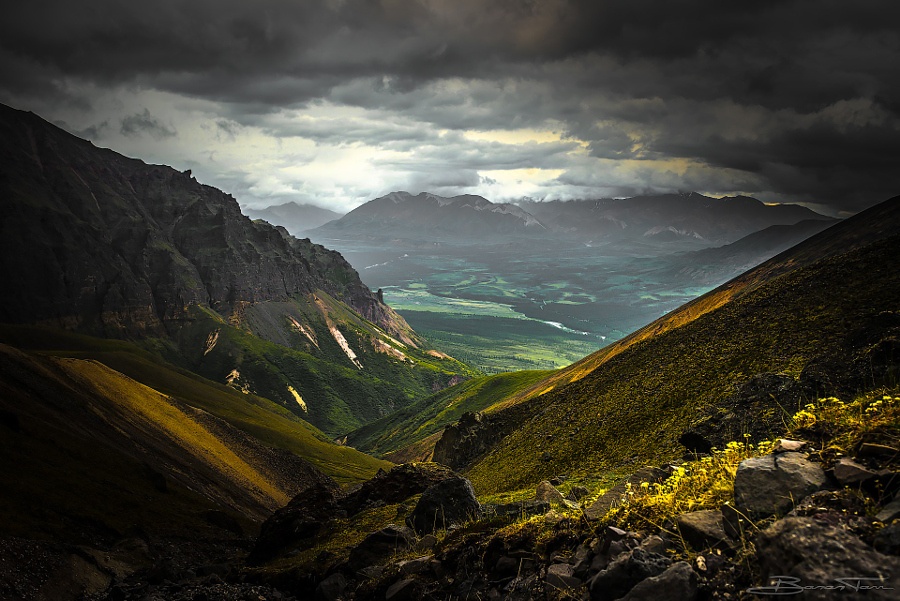 Công viên quốc gia Wrangell-St. Elias trù phú, xanh tươi, khác hẳn với những vùng đất hoang vu, băng giá khác của Alaska.