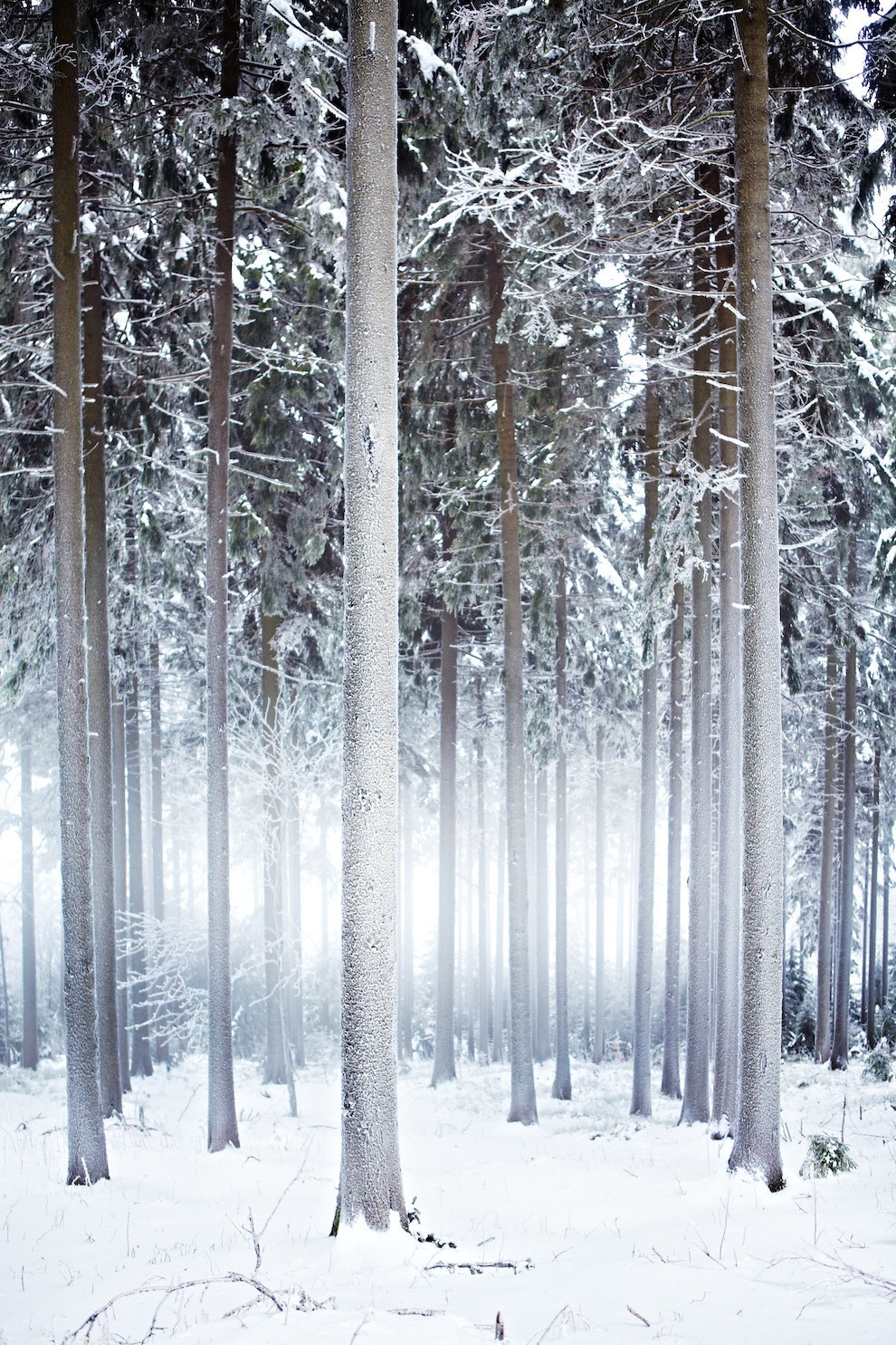 Thuringia ở Đức đẹp nhất vào mùa đông khi bao trùm lên tất cả là màu tuyết trắng tinh khôi, cây cối vương trên mình những bông tuyết chưa kịp tan.