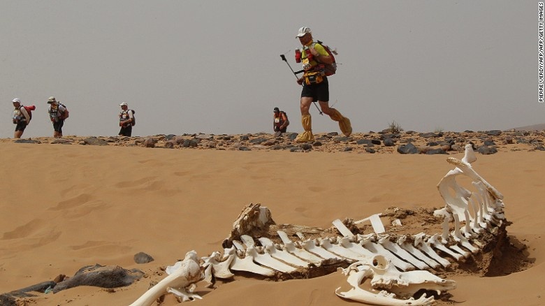 Mỗi thí sinh tham dư phải tự đem theo đồ ăn, quần áo và túi ngủ. Cuộc đua này có lịch sử từ năm 1986, diễn ra trong nhiệt độ thường xuyên lên tới 50 độ C vào ban ngày.