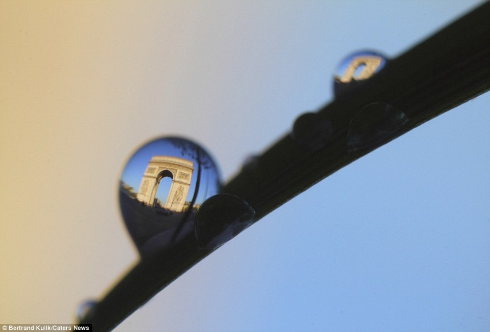 Anh cho biết “vẻ đẹp, nghệ thuật và văn hóa đã cứu rỗi chúng ta”.