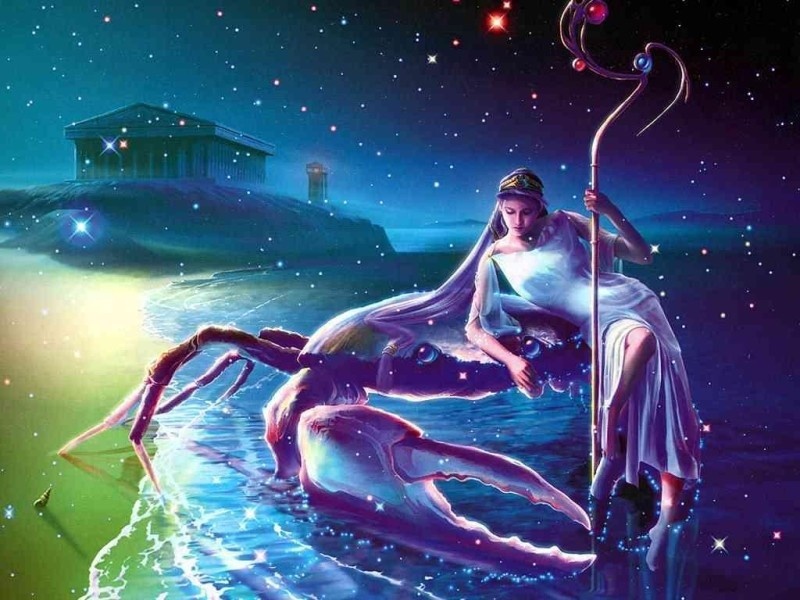 Chu nhat cua ban (22/11) hinh anh