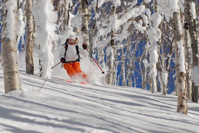 Hokkaido, Nhật Bản: Đây là địa điểm lý tưởng cho những ai yêu thích các môn thể thao mùa đông. Đặc biệt, tuyết ở đây rất khô và nhẹ, tạo ra thiên đường cho trượt tuyết và trượt ván. Sau một ngày vui chơi, du khách có thể ngâm mình trong suối nước nóng, thưởng thức rượu sake và các món ăn truyền thống.