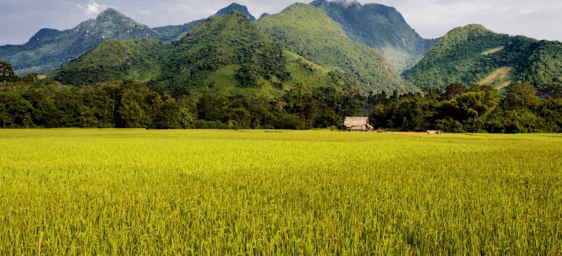 Nong Khiaw, Lào: Nằm ở phía bắc Luang Prabang, trên bờ sông Nam Ou, ngôi làng nhỏ bé này là một trong những nơi tuyệt nhất để nghỉ ngơi, thư giãn ở Lào. Bạn có thể nằm trên võng hóng gió, thưởng thức một chai bia Lào mát lạnh và ngắm hoàng hôn lộng lẫy.